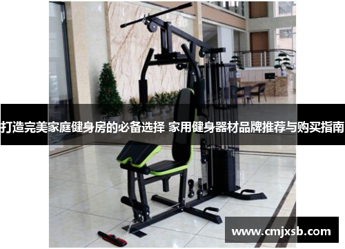 打造完美家庭健身房的必备选择 家用健身器材品牌推荐与购买指南