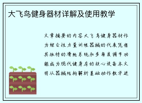 大飞鸟健身器材详解及使用教学