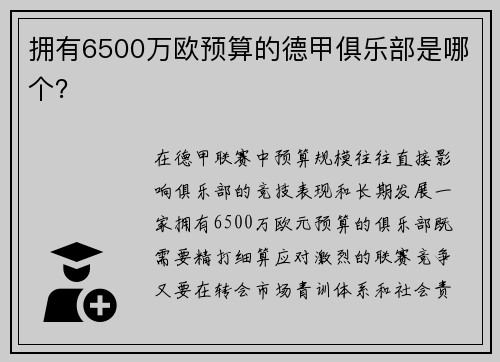 拥有6500万欧预算的德甲俱乐部是哪个？