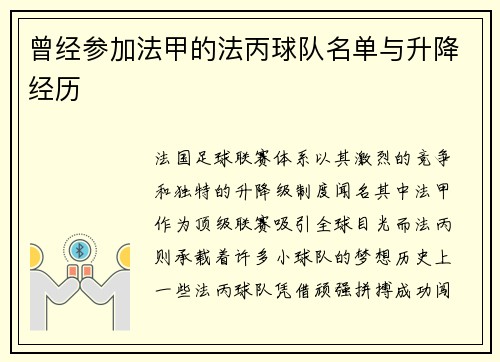 曾经参加法甲的法丙球队名单与升降经历